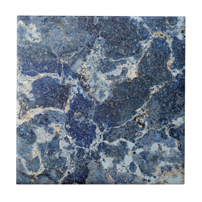 Bue Gray Black Marble & Beige Veins Fliese (Vorderseite)