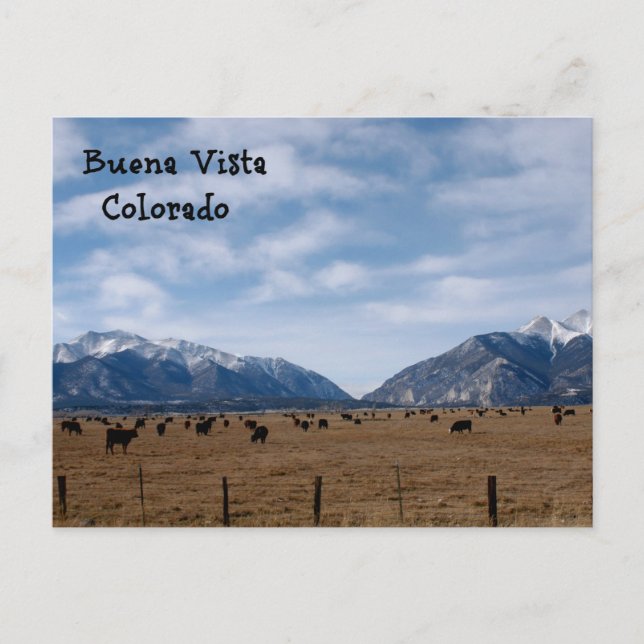 Buena Vista, CO Postkarte (Vorderseite)