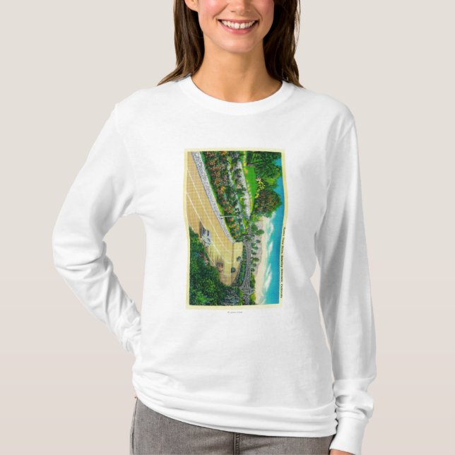 Buena- Vistaantrieb, hereinkommender Flussufer T-Shirt (Vorderseite)