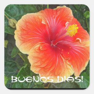 Buenos Dias Quadratischer Aufkleber