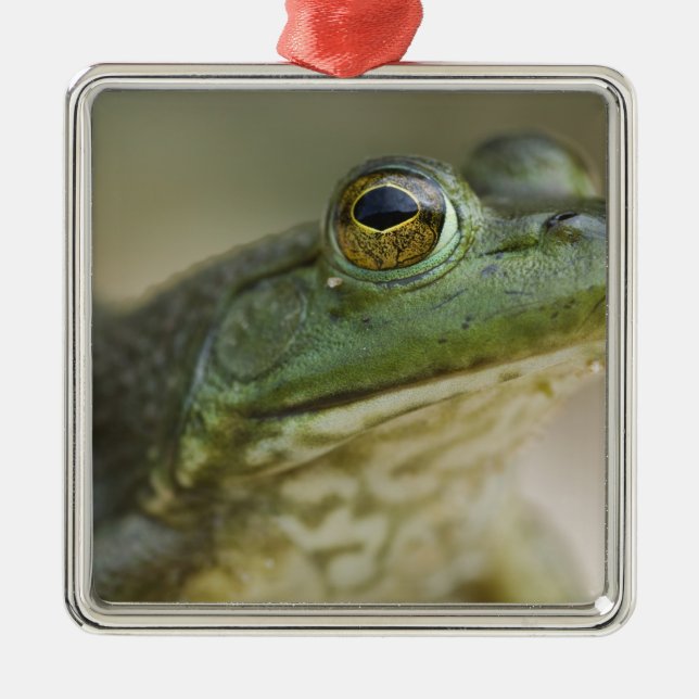 Bufallo National River, Nordwest Arkansas Ornament Aus Metall (Vorne)