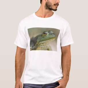 Bufallo National River, Nordwest Arkansas T-Shirt