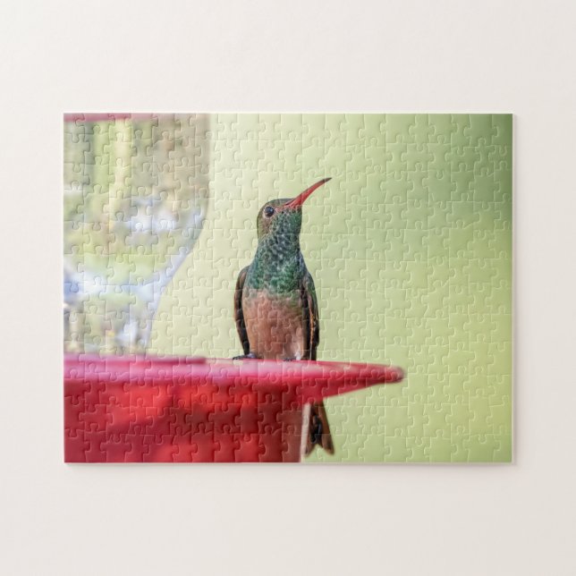 Buff-Bummingbird in Texas Puzzle (Horizontal)