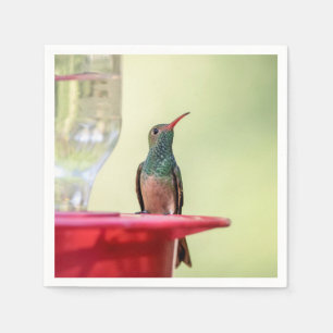 Buff-Bummingbird in Texas Serviette