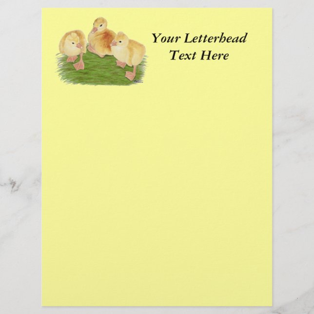 Buff Goslings Tufted (Vorderseite)