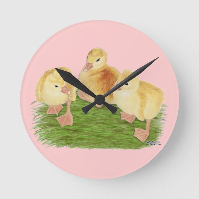 Buff Goslings Tufted Runde Wanduhr (Vorderseite)