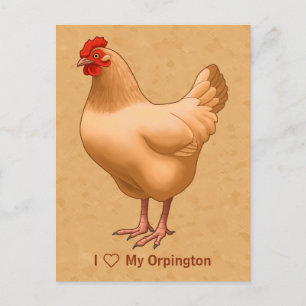 Buff Orpington Chicken Hen Postkarte