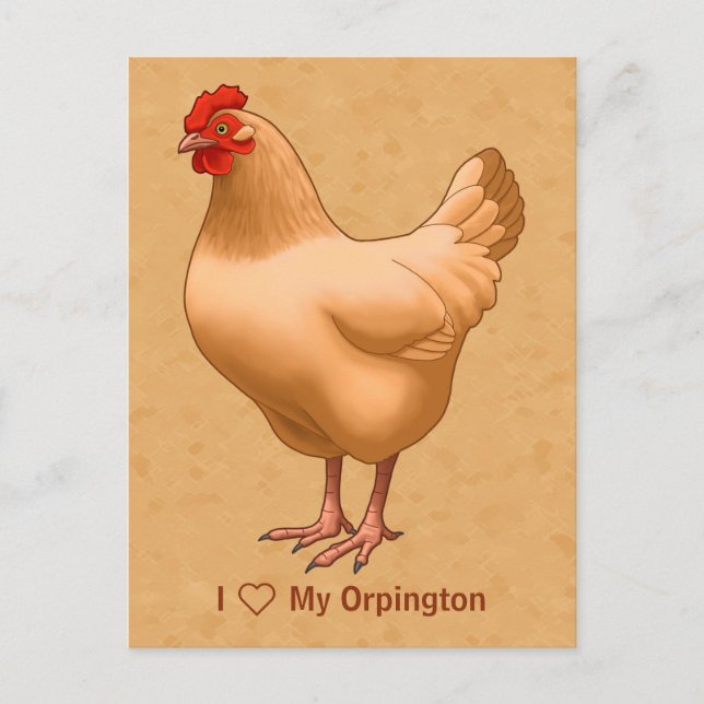 Buff Orpington Chicken Hen Postkarte (Vorderseite)