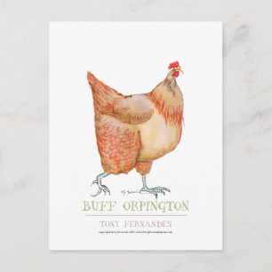 Buff Orpington hen, tony fernandes Postkarte