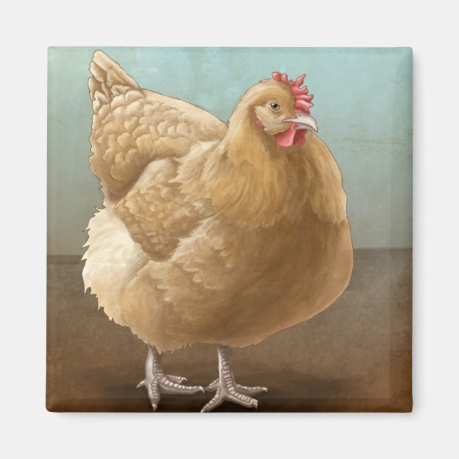 Buff Orpington Magnete (Vorne)