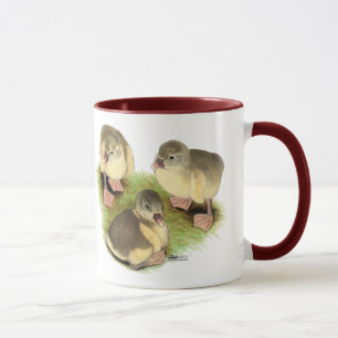 Buff Pomeranian Gänseküken Tasse
