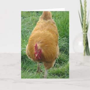 Buff Rooster Karte