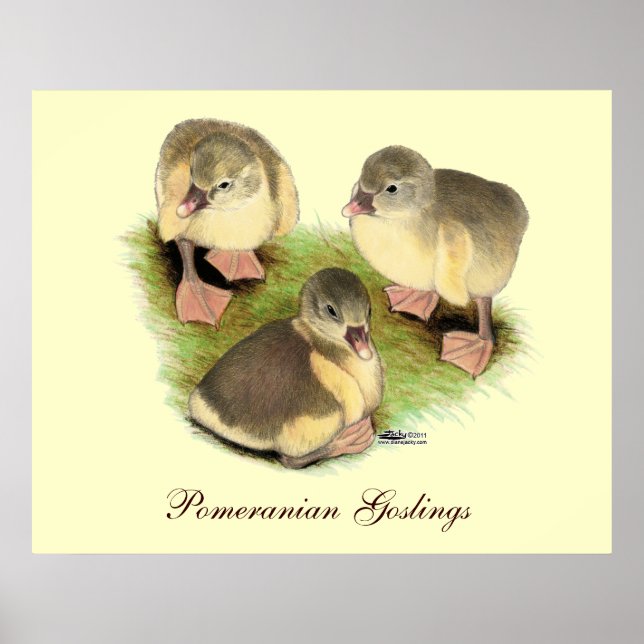 Buff Spitz Goslings Poster (Vorne)
