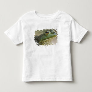 Buffallo National River, Nordwest-Arkansas Kleinkind T-shirt