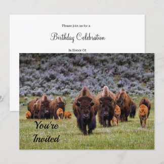 Buffalo 2 Einladung zum Geburtstag