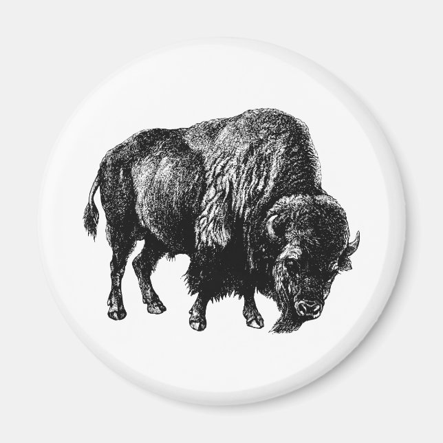 Buffalo American Bison Magnet (Vorne)