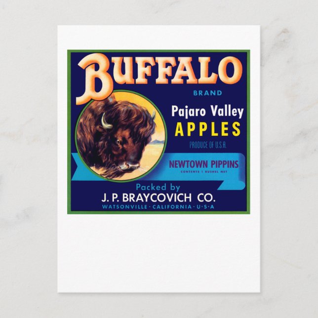 Buffalo Apples Postkarte (Vorderseite)