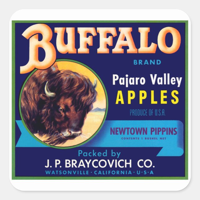 Buffalo Apples Quadratischer Aufkleber (Vorderseite)