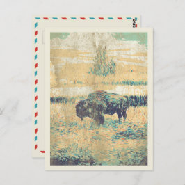 Buffalo auf den Ebenen Amerikas Postkarte