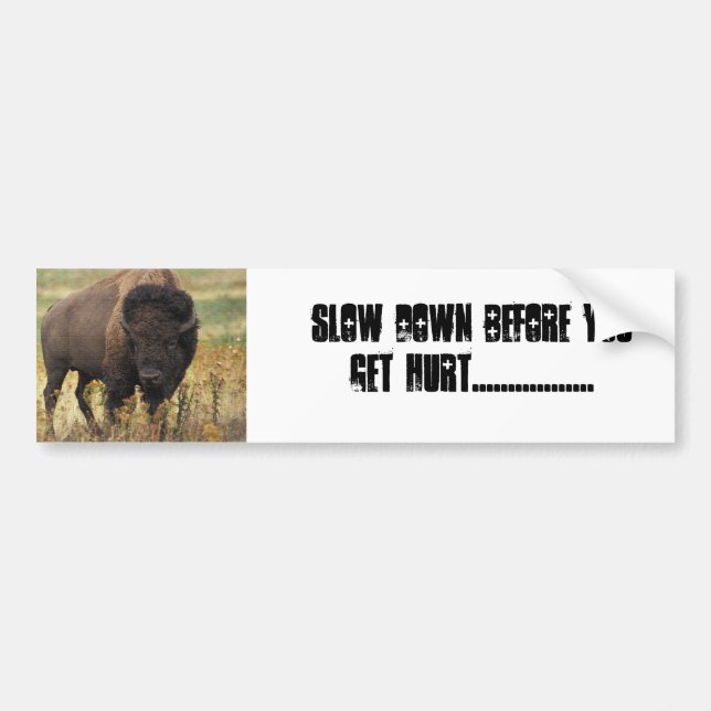 BUFFALO AUTOAUFKLEBER (Vorne)