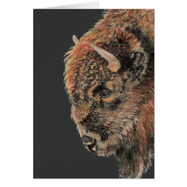Buffalo, Bison, Aquarell (Vorne)