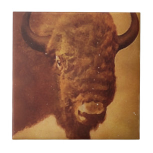 Buffalo / Bison Fliese