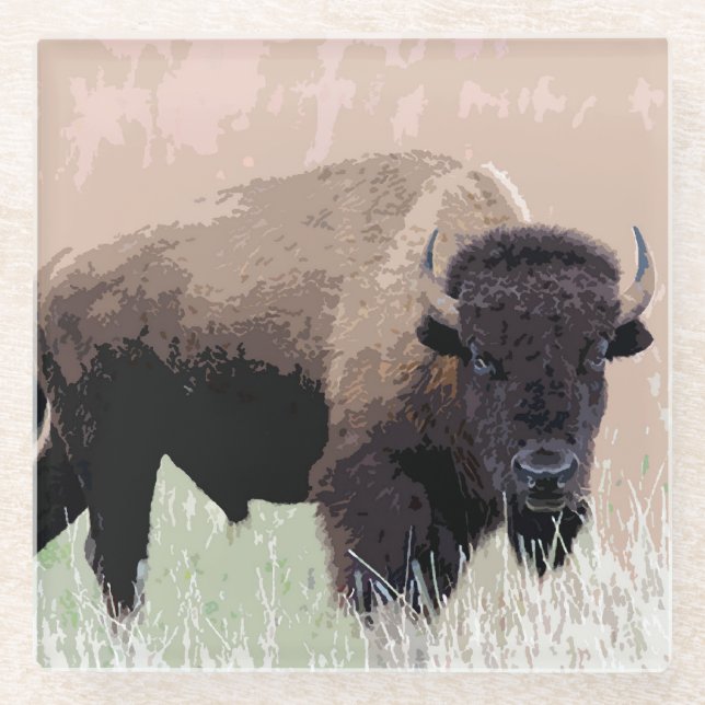 Buffalo / Bison Glasuntersetzer (Vorderseite)