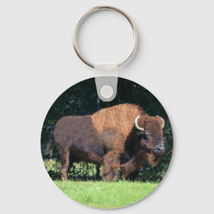 Buffalo (Bison) Kansas, Oklahoma, Wyoming Schlüsselanhänger