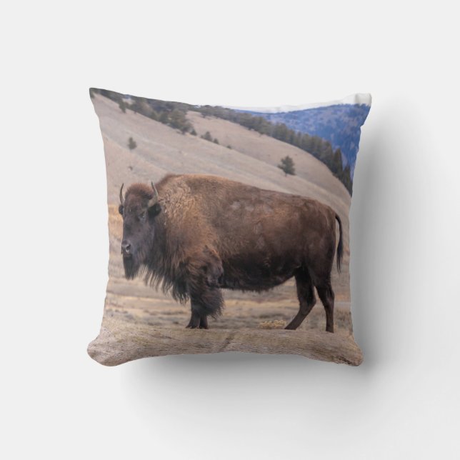 Buffalo Bison Kissen (Vorderseite)