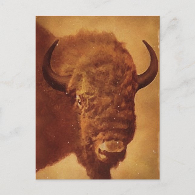 Buffalo / Bison Postkarte (Vorderseite)