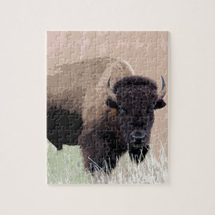 Buffalo / Bison Puzzle