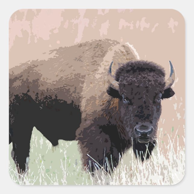 Buffalo / Bison Quadratischer Aufkleber (Vorderseite)