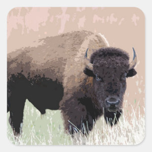 Buffalo / Bison Quadratischer Aufkleber