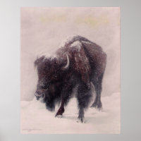 Buffalo Blizzard Print