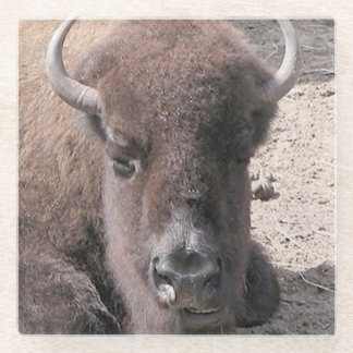 Buffalo Foto Square Glass Untersetzer