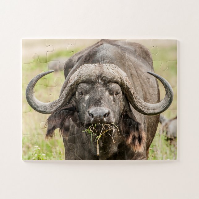 Buffalo Grazing Puzzle (Horizontal)