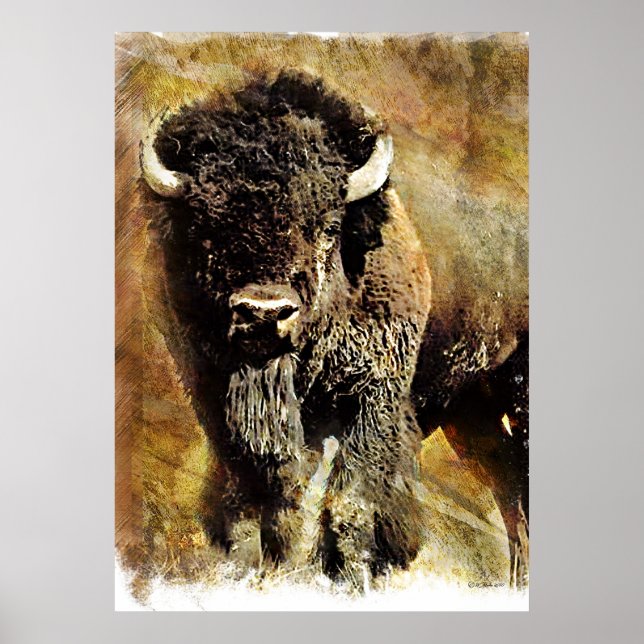 Buffalo Grunge Poster (Vorne)