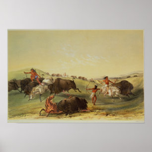 Buffalo Hunt Poster