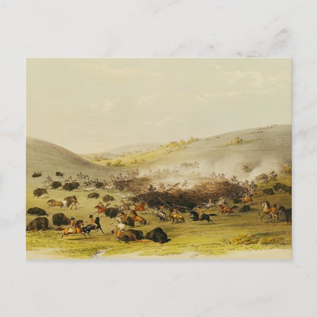 Buffalo Hunt, Surround, c.1832 Postkarte (Vorderseite)