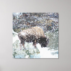 Buffalo im Schneesturm überwundene Leinwand Print
