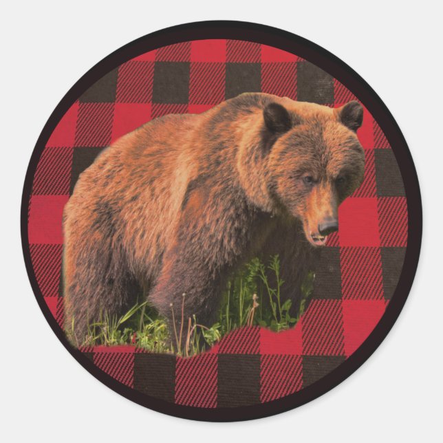 Buffalo Kariert Brown Bear Round Sticker (Vorderseite)