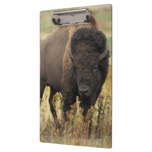 Buffalo Klemmbrett