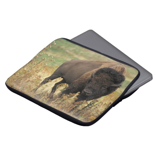 Buffalo Laptopschutzhülle (Vorne Oben)
