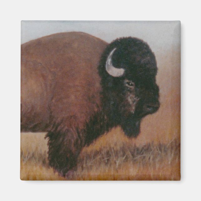 Buffalo Magnet (Vorne)