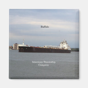 Buffalo-Magnet Magnet