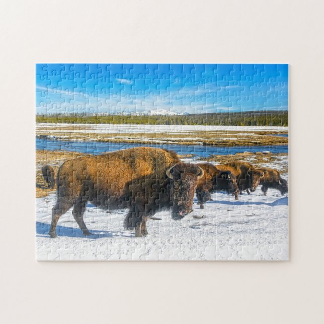 Buffalo Montana. Puzzle (Horizontal)