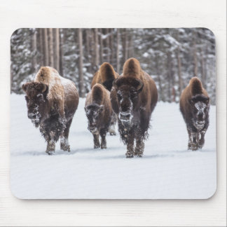 Buffalo Mousepad