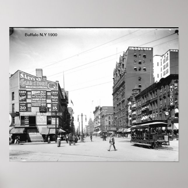 Buffalo N.Y Print Poster (Vorne)