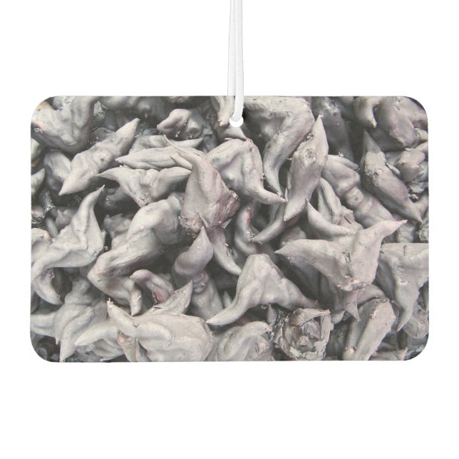Buffalo Nuts - Water Caltrop Autolufterfrischer (Vorderseite)