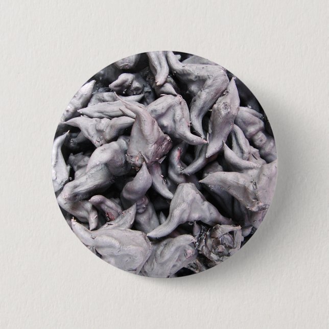 Buffalo Nuts - Water Caltrop Button (Vorderseite)